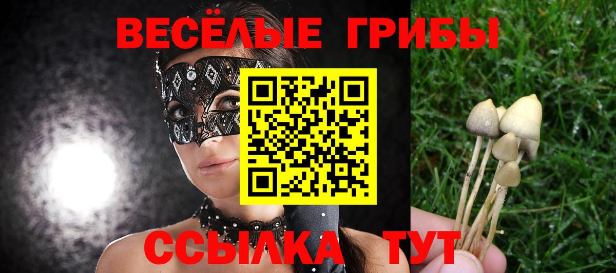 Тула  Галлюциногенные грибы Cubensis  Вход с VPN 