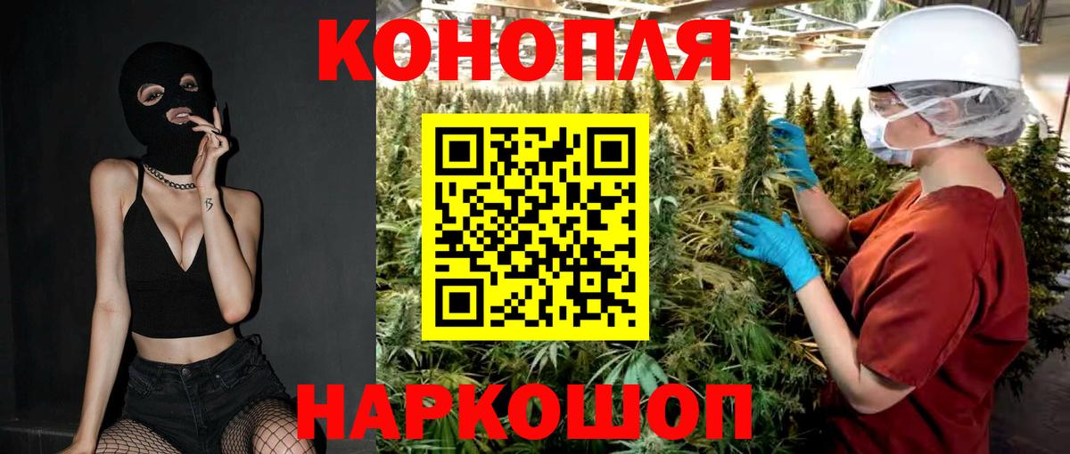 Каннабис план Тула