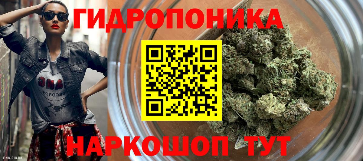 Канабис White Widow  Вход с VPN  МАРИХУАНА сатива  Тула 